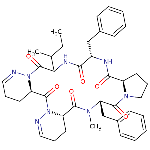 PNG
