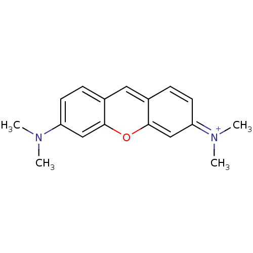 PNG