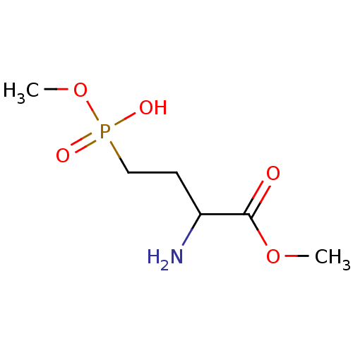 PNG