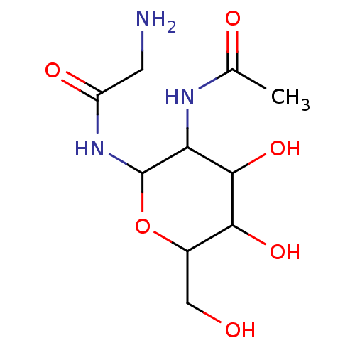 PNG