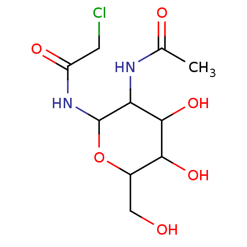 PNG