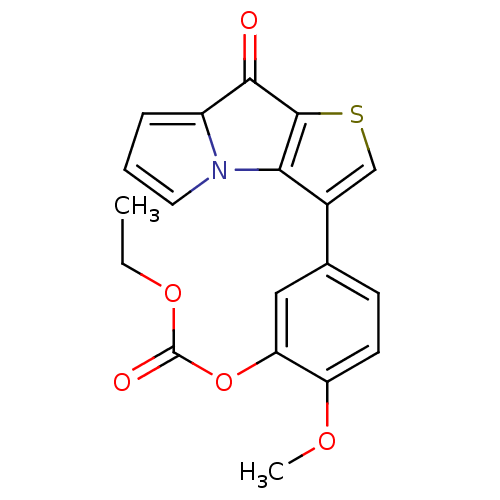 PNG