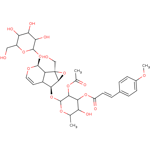 PNG