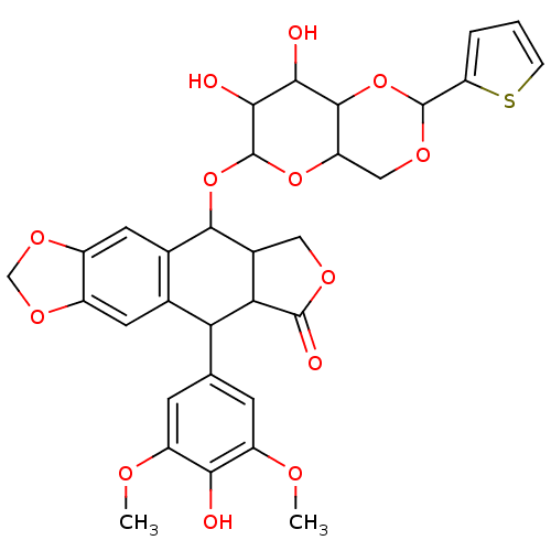 PNG