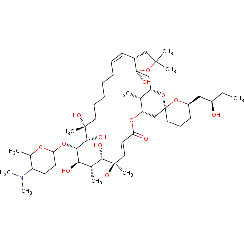PNG