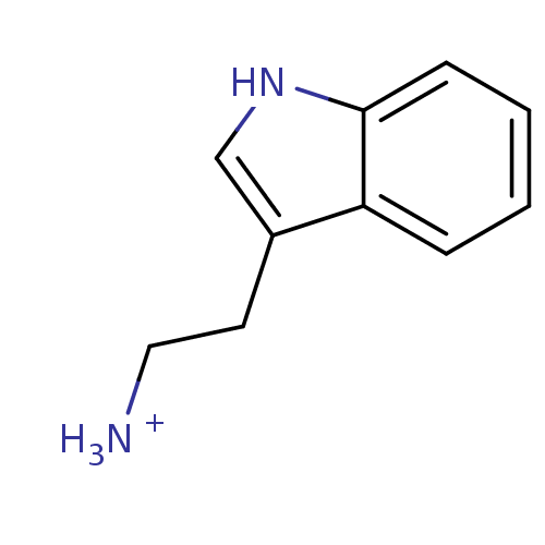 PNG