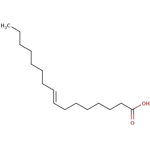 PNG