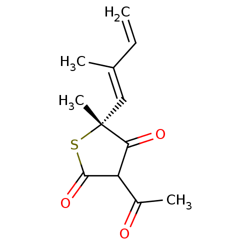 PNG