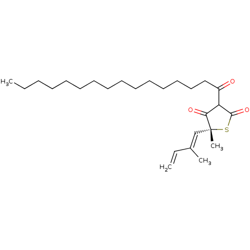 PNG