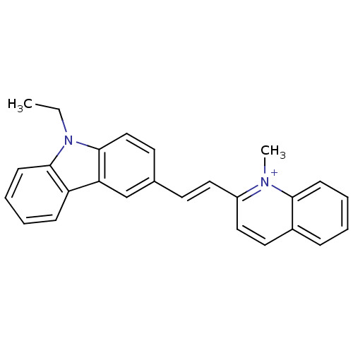 PNG