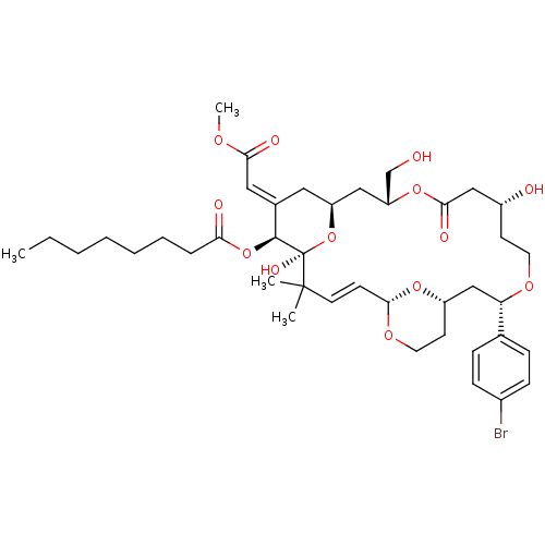 PNG
